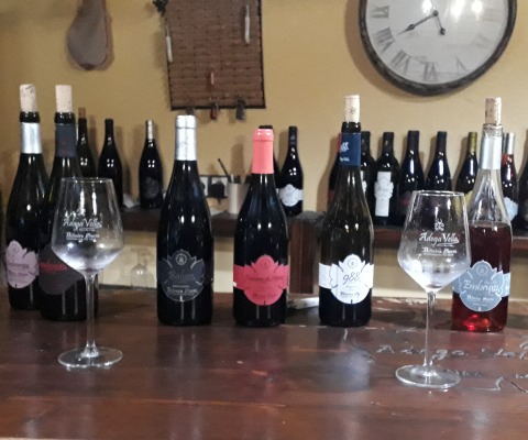 Enoturismo-Galicia-Ribeira-Sacra-botellas